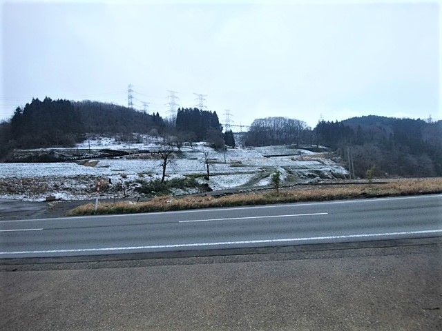 IMG_20190324_091239.jpg