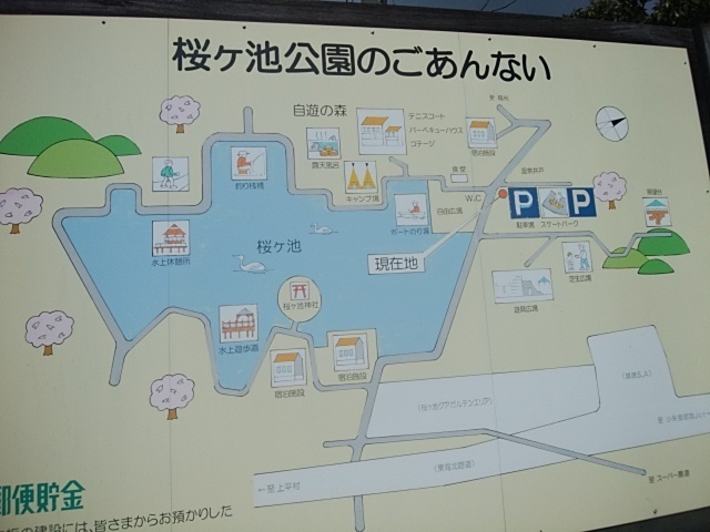 IMG_20190331_100817.jpg