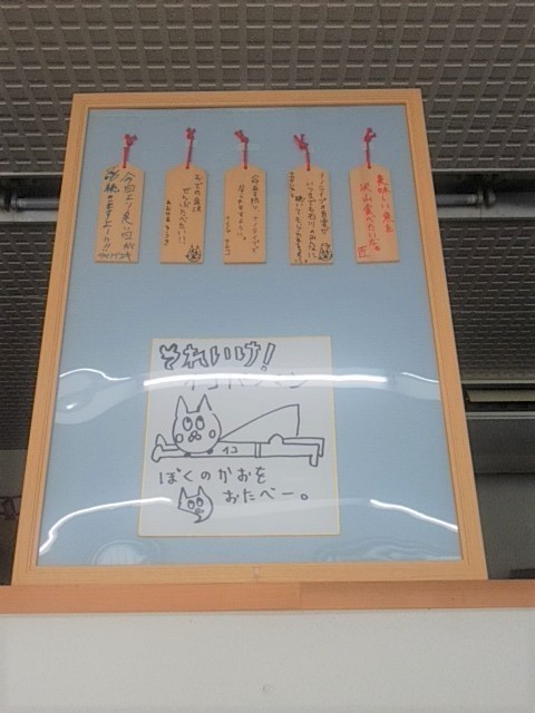 IMG_20190728_101411.jpg