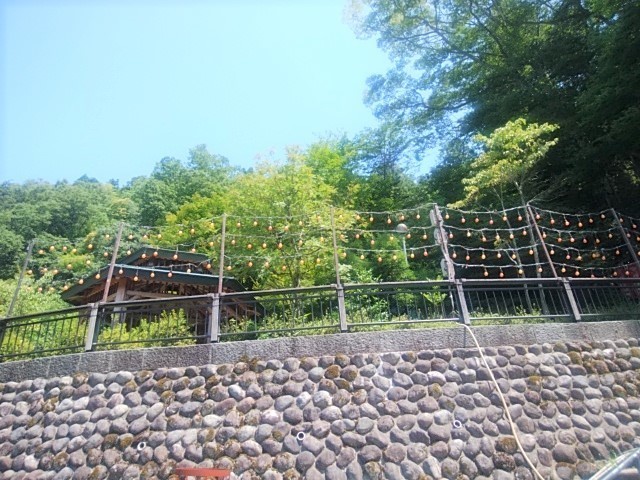 IMG_20190818_112552.jpg