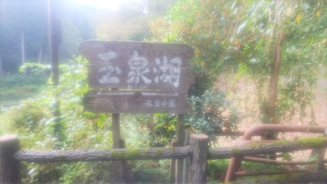 IMG_20190929_101330.jpg