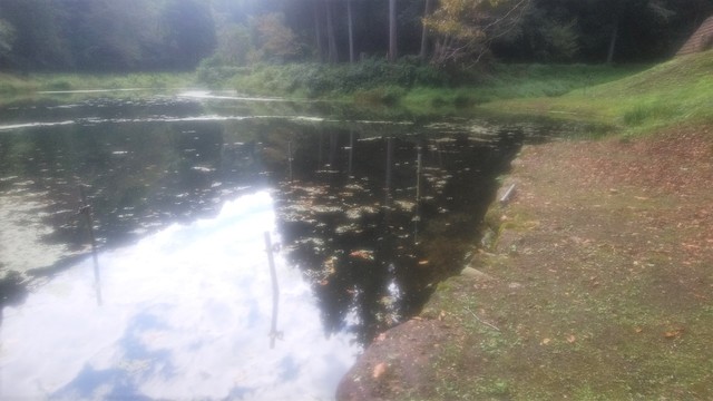 IMG_20190929_101409.jpg
