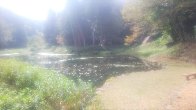 IMG_20190929_101603.jpg