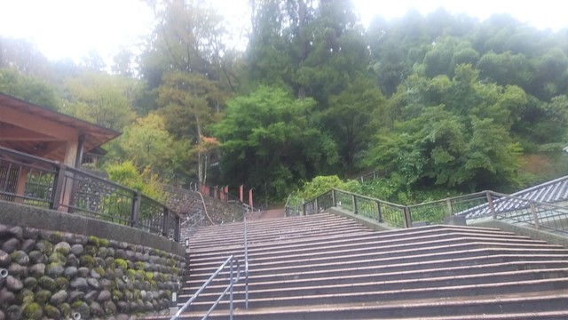 IMG_20191013_095627.jpg