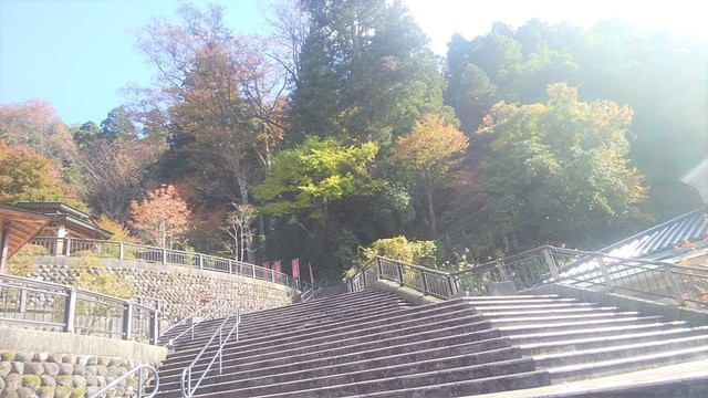 IMG_20191110_110519.jpg
