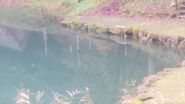 IMG_20191215_095245.jpg