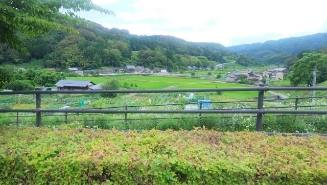 IMG_20200705_101955_.jpg