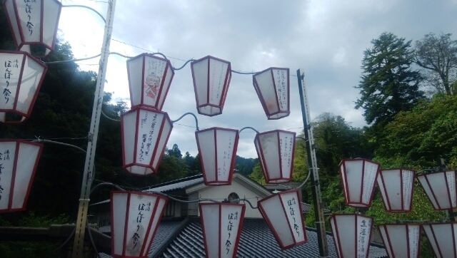 IMG_20200906_091208_.jpg