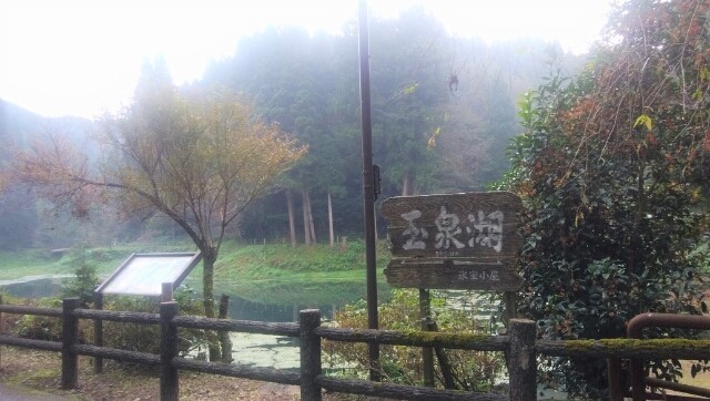IMG_20201004_092830_.jpg