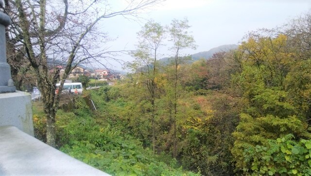 IMG_20201108_102252_.jpg