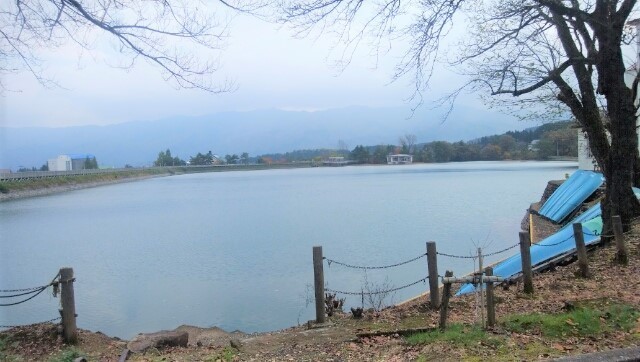 IMG_20201108_113112_.jpg