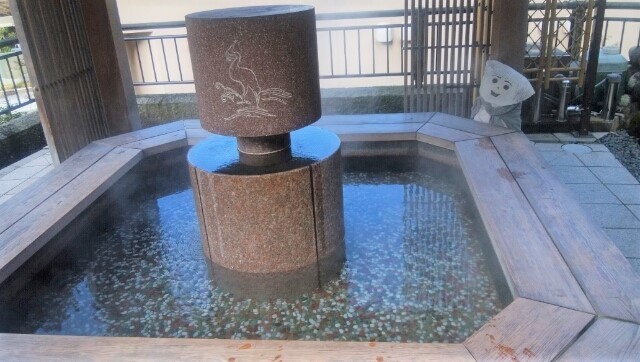 IMG_20201129_093413_.jpg