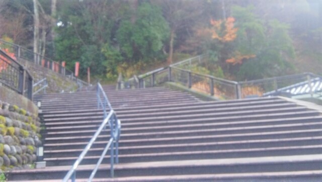 IMG_20201206_092702_.jpg