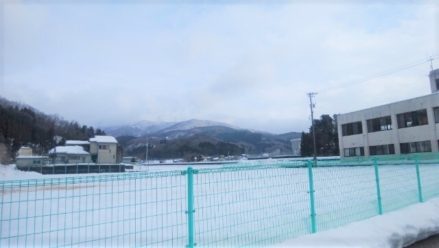 IMG_20210117_113726_.jpg