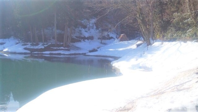 IMG_20210214_100904_.jpg