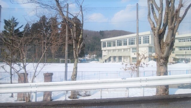 IMG_20210221_133935_.jpg